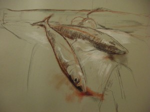 the demonstration drawing in the drawing course ;still life with fishes