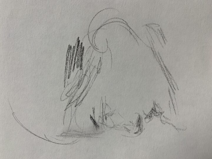 The very quick drawing of the French student