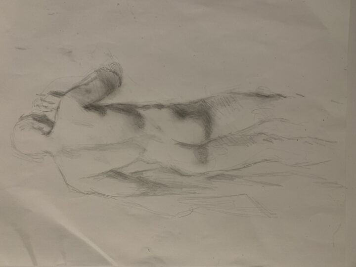 The new quick drawing interpretation during the online lesson I teach
